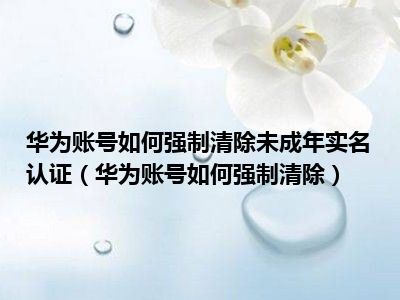 华为账号如何强制清除未成年实名认证（华为账号如何强制清除）