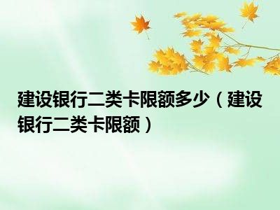 建设银行二类卡限额多少（建设银行二类卡限额）