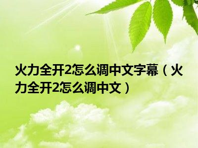 火力全开2怎么调中文字幕（火力全开2怎么调中文）