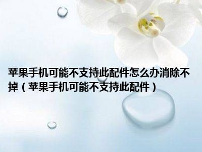 苹果手机可能不支持此配件怎么办消除不掉（苹果手机可能不支持此配件）