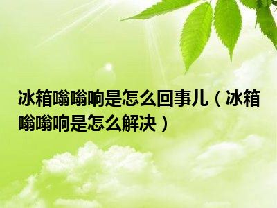 冰箱嗡嗡响是怎么回事儿（冰箱嗡嗡响是怎么解决）