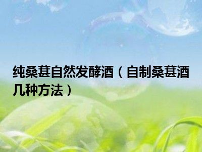 纯桑葚自然发酵酒（自制桑葚酒几种方法）