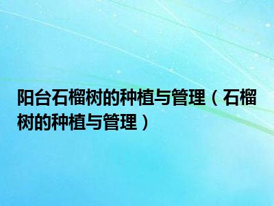 阳台石榴树的种植与管理（石榴树的种植与管理）