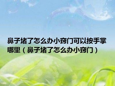 鼻子堵了怎么办小窍门可以按手掌哪里（鼻子堵了怎么办小窍门）
