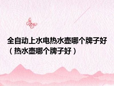 全自动上水电热水壶哪个牌子好（热水壶哪个牌子好）