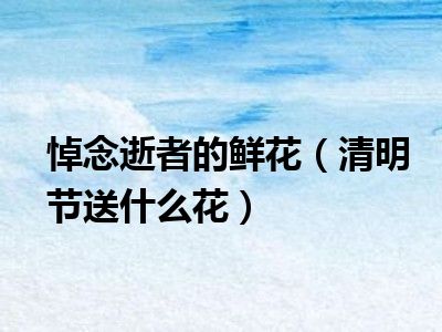 悼念逝者的鲜花（清明节送什么花）