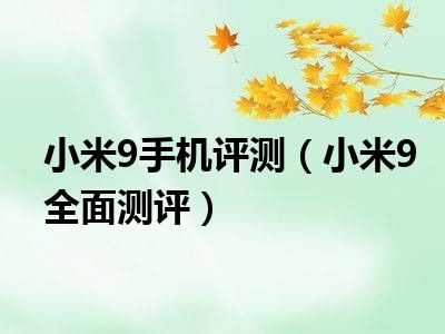 小米9手机评测（小米9全面测评）