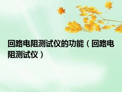 回路电阻测试仪的功能（回路电阻测试仪）