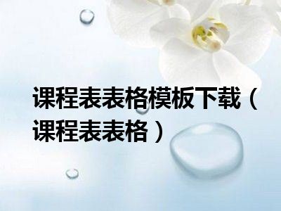 课程表表格模板下载（课程表表格）