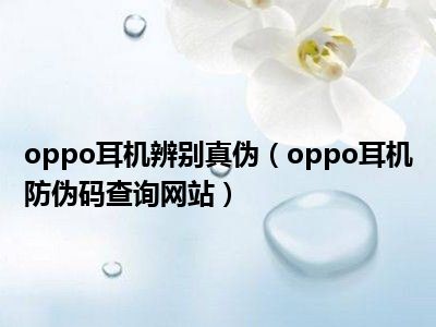 oppo耳机辨别真伪（oppo耳机防伪码查询网站）