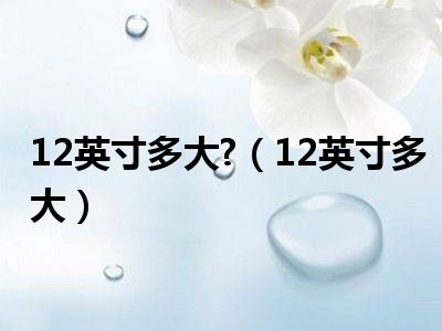 12英寸多大?（12英寸多大）
