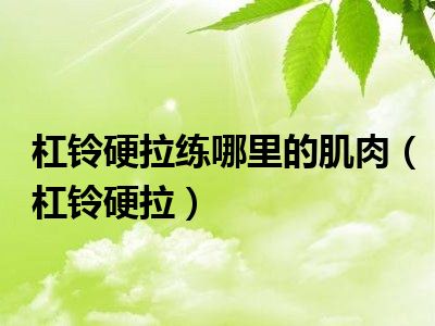 杠铃硬拉练哪里的肌肉（杠铃硬拉）