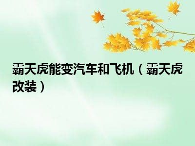 霸天虎能变汽车和飞机（霸天虎改装）