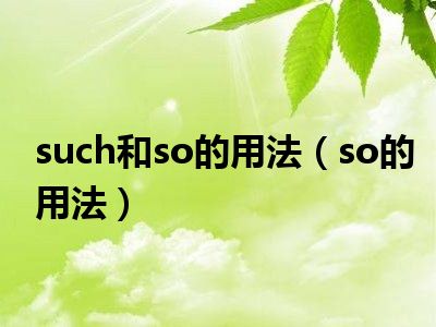 such和so的用法（so的用法）