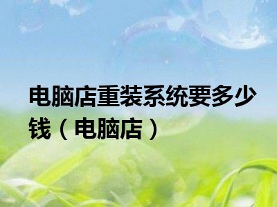 电脑店重装系统要多少钱（电脑店）