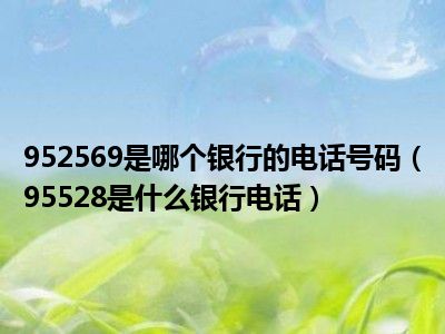 952569是哪个银行的电话号码（95528是什么银行电话）