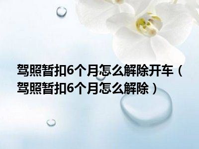 驾照暂扣6个月怎么解除开车（驾照暂扣6个月怎么解除）