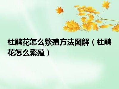 杜鹃花怎么繁殖方法图解（杜鹃花怎么繁殖）