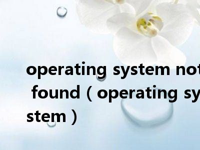 operating system not found（operating system）