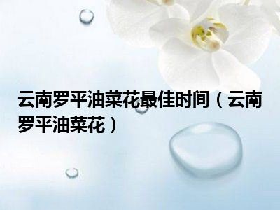 云南罗平油菜花最佳时间（云南罗平油菜花）