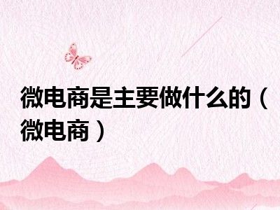 微电商是主要做什么的（微电商）