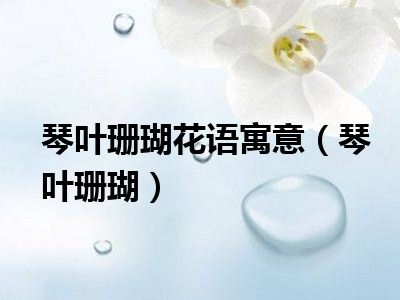 琴叶珊瑚花语寓意（琴叶珊瑚）