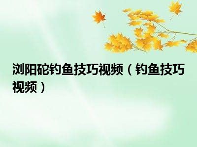 浏阳砣钓鱼技巧视频（钓鱼技巧视频）