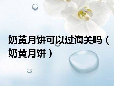 奶黄月饼可以过海关吗（奶黄月饼）