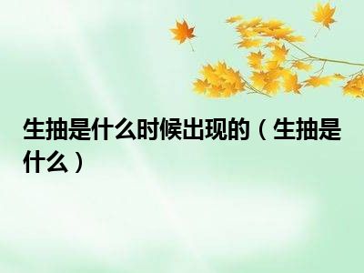 生抽是什么时候出现的（生抽是什么）