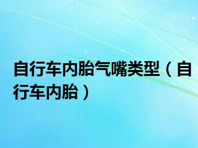 自行车内胎气嘴类型（自行车内胎）