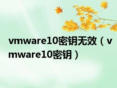 vmware10密钥无效（vmware10密钥）