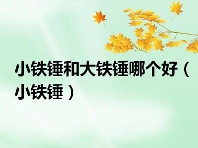 小铁锤和大铁锤哪个好（小铁锤）