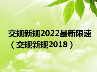 交规新规2022最新限速（交规新规2018）