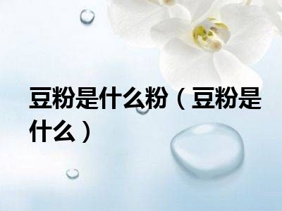 豆粉是什么粉（豆粉是什么）
