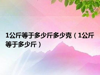 1公斤等于多少斤多少克（1公斤等于多少斤）