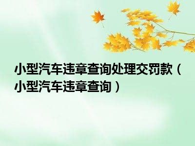 小型汽车违章查询处理交罚款（小型汽车违章查询）