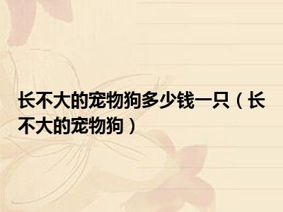 长不大的宠物狗多少钱一只（长不大的宠物狗）