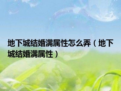 地下城结婚满属性怎么弄（地下城结婚满属性）