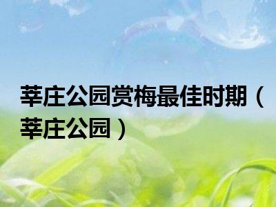 莘庄公园赏梅最佳时期（莘庄公园）
