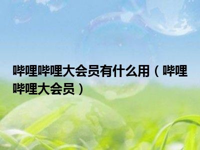 哔哩哔哩大会员有什么用（哔哩哔哩大会员）