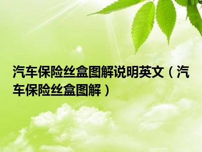 汽车保险丝盒图解说明英文（汽车保险丝盒图解）