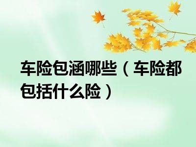 车险包涵哪些（车险都包括什么险）