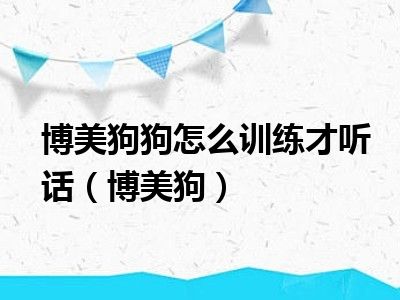 博美狗狗怎么训练才听话（博美狗）