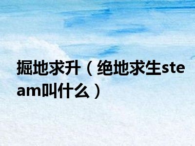 掘地求升（绝地求生steam叫什么）