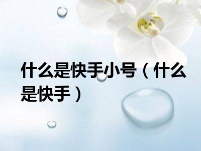 什么是快手小号（什么是快手）