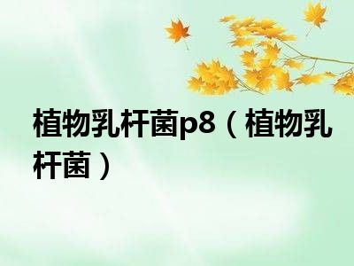 植物乳杆菌p8（植物乳杆菌）