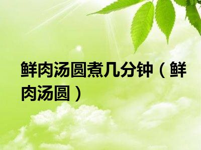 鲜肉汤圆煮几分钟（鲜肉汤圆）