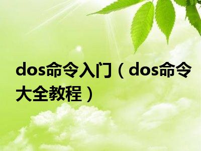 dos命令入门（dos命令大全教程）