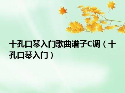 十孔口琴入门歌曲谱子C调（十孔口琴入门）