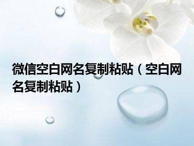 微信空白网名复制粘贴（空白网名复制粘贴）